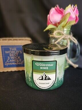NWT Goose Creek Wilderness Hike 3-Wick Candle - Green and White